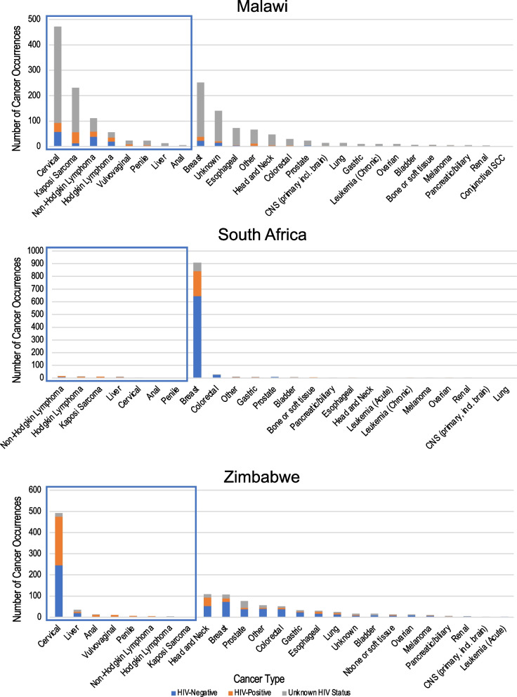 Characterizing HIV status documentation among cancer patients at regional cancer centers in Malawi, Zimbabwe, and South Africa.