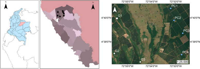 Ecology, behavior and bionomics: functional response of Heterotermes tenuis Hagen (Insecta: Blattaria: Isoptera: Rhinotermitidae) in forests of the Colombian Orinoquía.