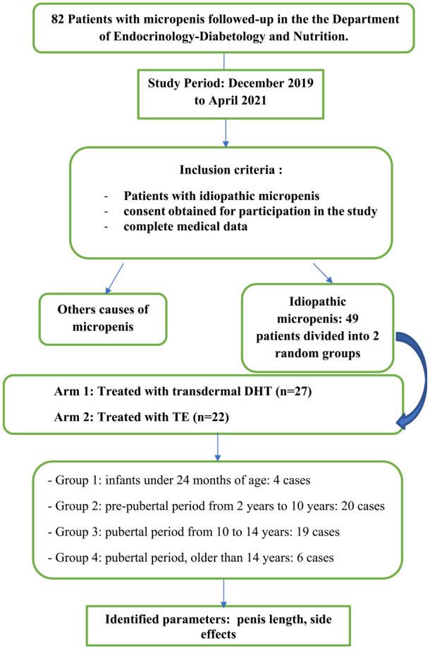 Efficacy of Transdermal Dihydrotestosterone and Testosterone Enanthate for Penile Augmentation in Patients With Idiopathic Micropenis: A Comparative Randomized Study.