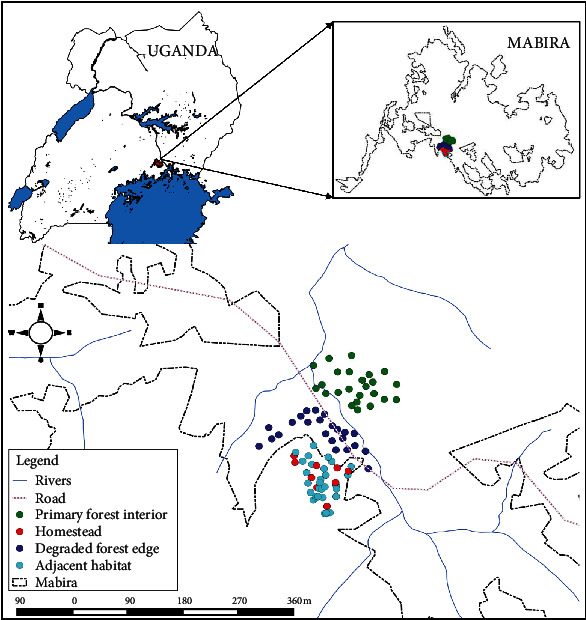 Ectoparasite Fauna of Rodents and Shrews with Their Spatial, Temporal, and Dispersal along a Degradation Gradient in Mabira Central Forest Reserve.