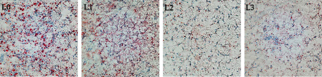 Lycopene Alleviates the Adverse Effects of Feeding High-Lipid Diets to Hybrid Grouper (♀<i>Epinephelus fuscoguttatus</i> ×♂<i>E. lanceolatus</i>).