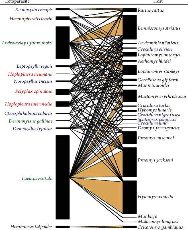 Ectoparasite Fauna of Rodents and Shrews with Their Spatial, Temporal, and Dispersal along a Degradation Gradient in Mabira Central Forest Reserve.