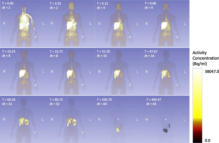 Dosimetry of [18F]TRACK, the first PET tracer for imaging of TrkB/C receptors in humans