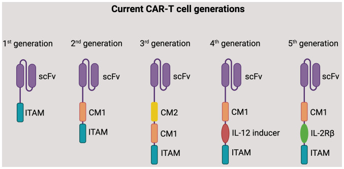 Investigating chimeric antigen receptor T cell therapy and the potential for cancer immunotherapy (Review).