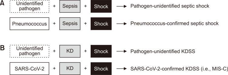 Comparison of COVID-19-associated multisystem inflammatory syndrome in children (MIS-C) and Kawasaki disease shock syndrome: case reports and literature review.