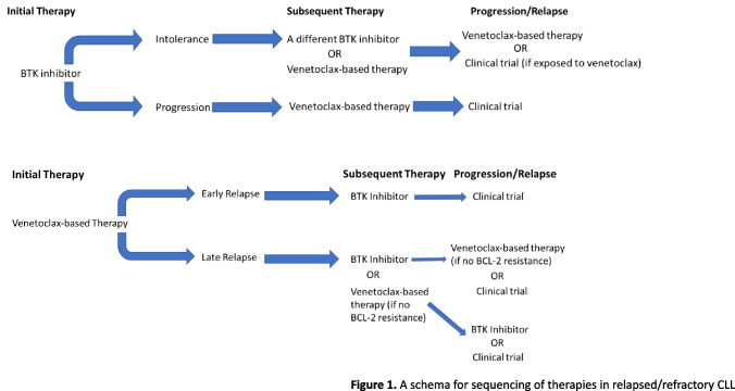 Relapsed/Refractory Chronic Lymphocytic Leukemia (CLL).