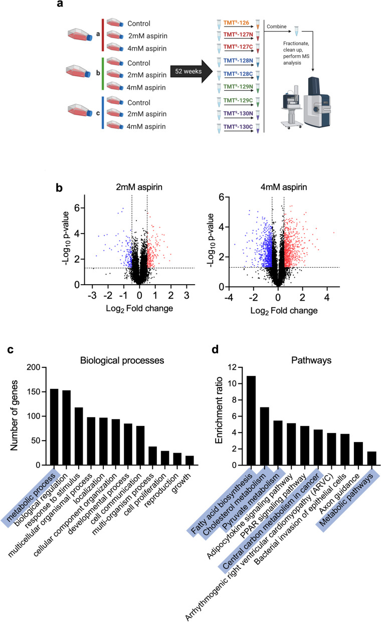 Aspirin reprogrammes colorectal cancer cell metabolism and sensitises to glutaminase inhibition.