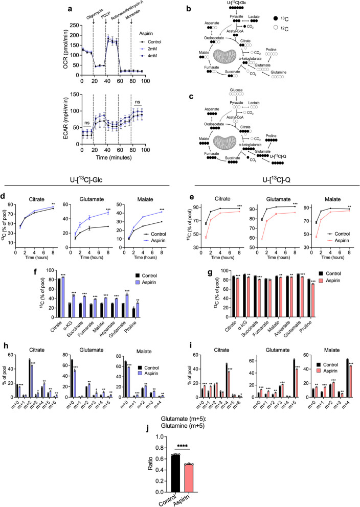 Aspirin reprogrammes colorectal cancer cell metabolism and sensitises to glutaminase inhibition.