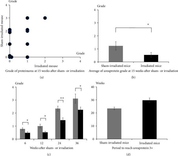 Irradiation Attenuates Systemic Lupus Erythematosus-Like Morbidity in NZBWF1 Mice: Focusing on CD180-Negative Cells.