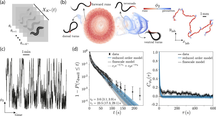 Fluctuating landscapes and heavy tails in animal behavior.