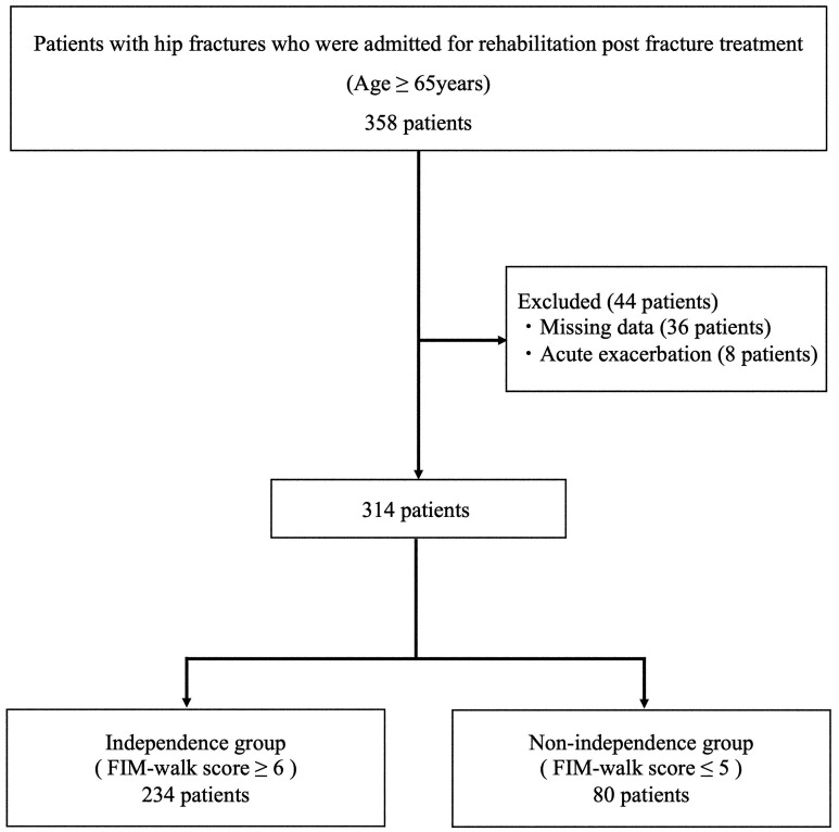 Relationship between Trunk Muscle Mass Index at Admission and Walking Independence in Patients with Hip Fracture.