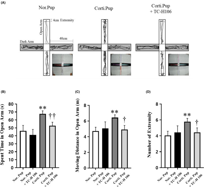 Dopaminergic cell protection and alleviation of neuropsychiatric disease symptoms by VMAT2 expression through the class I HDAC inhibitor TC-H 106.