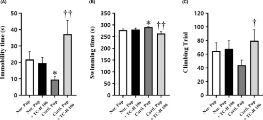 Dopaminergic cell protection and alleviation of neuropsychiatric disease symptoms by VMAT2 expression through the class I HDAC inhibitor TC-H 106.