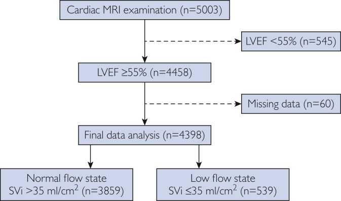 Assessment of Prevalence, Clinical Characteristics, and Risk Factors Associated With “Low Flow State” Using Cardiac Magnetic Resonance