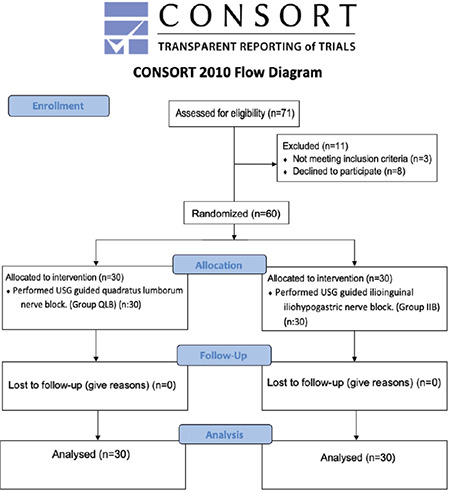 Comparison of the Analgesic Efficacy of Ultrasound-Guided Quadratus Lumborum Block and Ilioinguinal-Iliohypogastric Nerve Block in Paediatric Patients After Inguinal Hernia Surgery: A Prospective Randomized Controlled Trial.