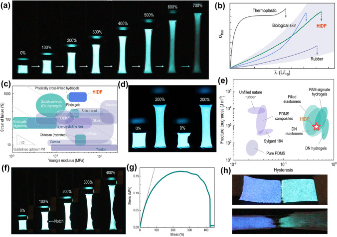 Humanoid Intelligent Display Platform for Audiovisual Interaction and Sound Identification