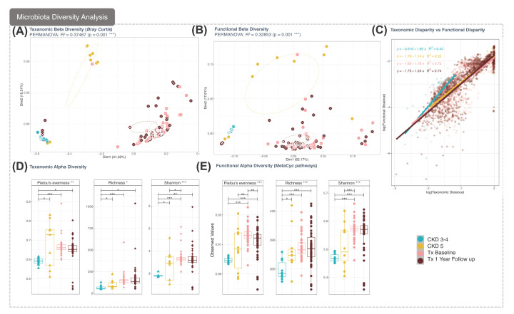 A normative microbiome is not restored following kidney transplantation.