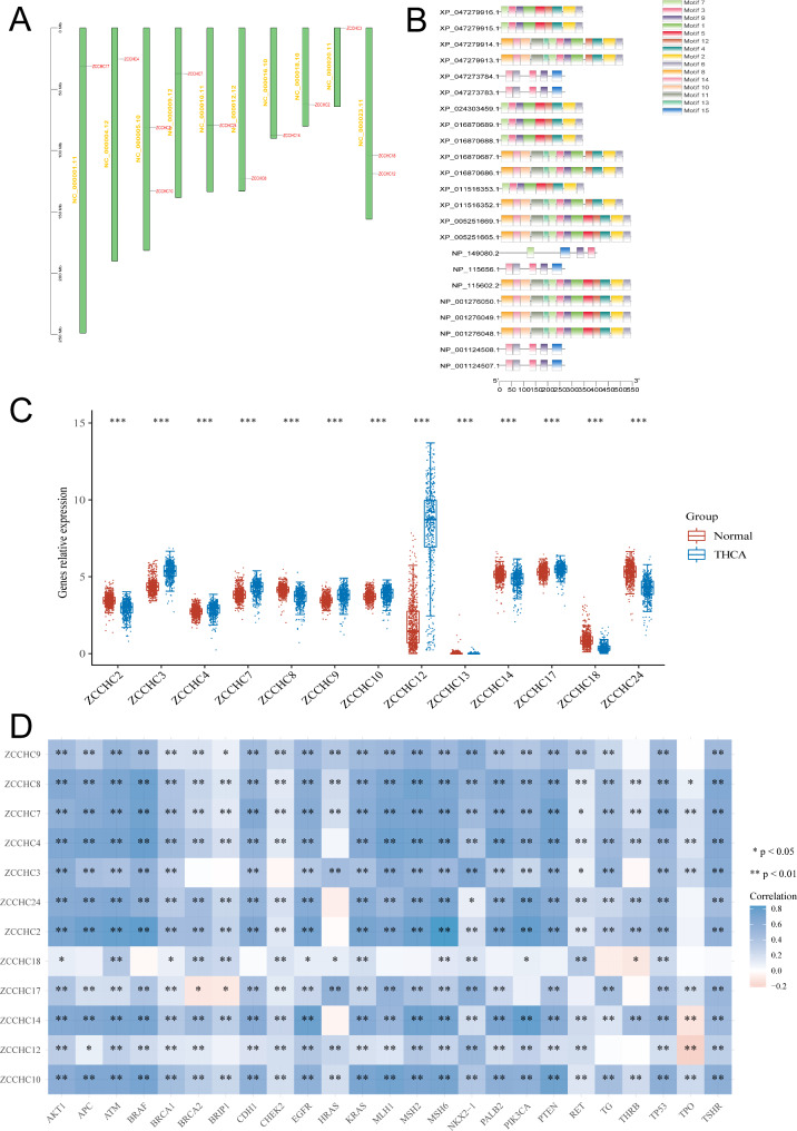 Differential expression of zinc finger CCHC-type superfamily proteins in thyroid carcinoma and their associations with tumor immunity.