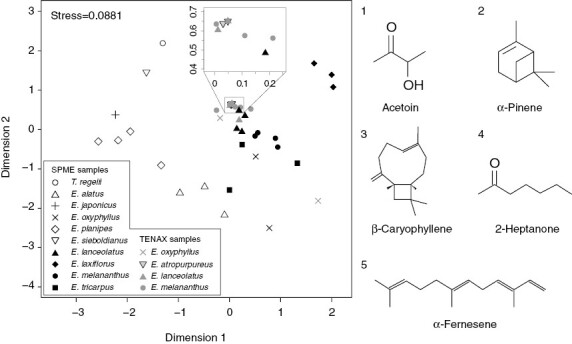 Adaptation to pollination by fungus gnats underlies the evolution of pollination syndrome in the genus Euonymus.