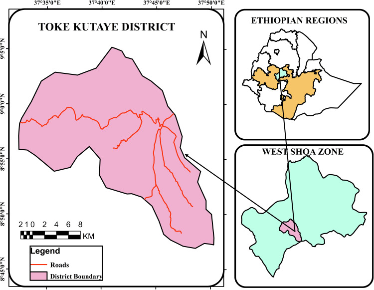 Assessment of the Epidemiology of the Gastrointestinal Tract Nematode Parasites in Sheep in Toke Kutaye, West Shoa Zone, Ethiopia.