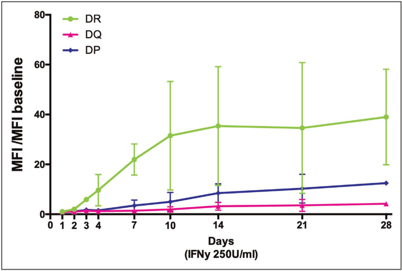 HLA-DQ antibodies in alloimmunity, what makes them different?