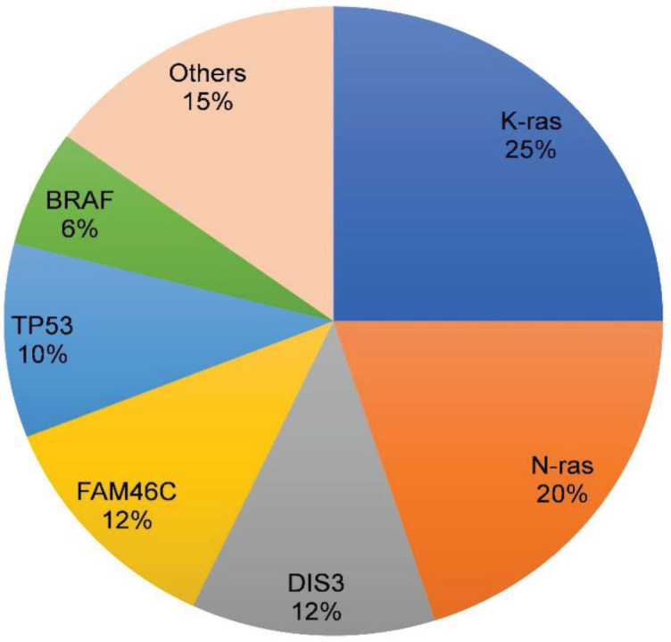 Molecular genetic aberrations in the pathogenesis of multiple myeloma.