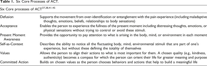 Remotely Delivered Psychologically Informed Mindful Movement Physical Therapy for Pain Care: A Framework for Operationalization.