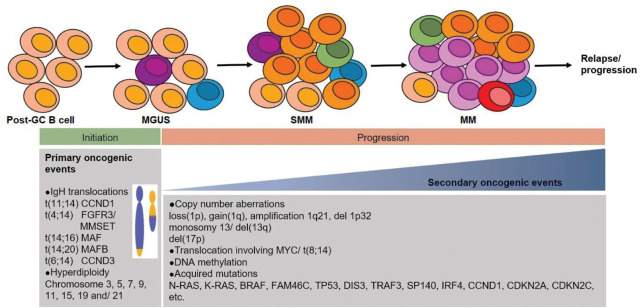 Molecular genetic aberrations in the pathogenesis of multiple myeloma.