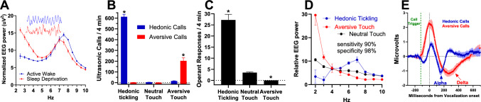 A prefrontal cortex alpha/delta switch controls the transition from positive to negative affective states.