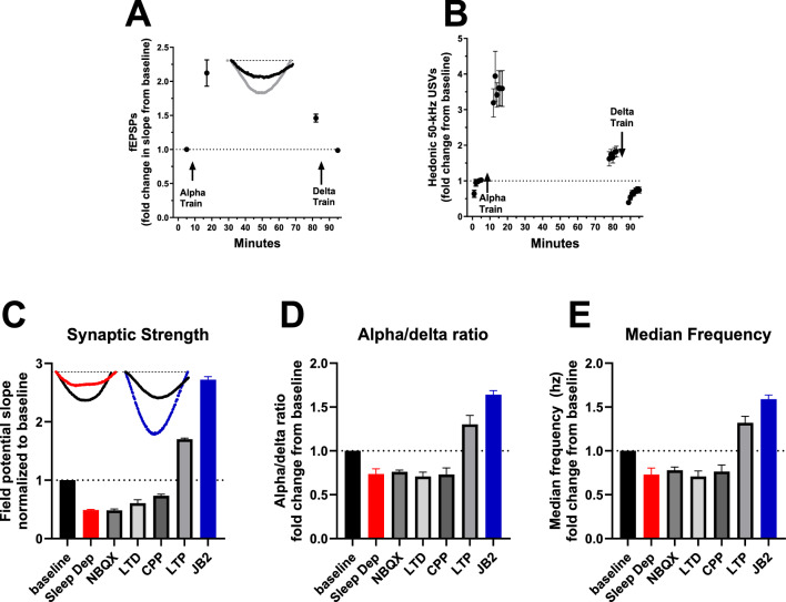 A prefrontal cortex alpha/delta switch controls the transition from positive to negative affective states.