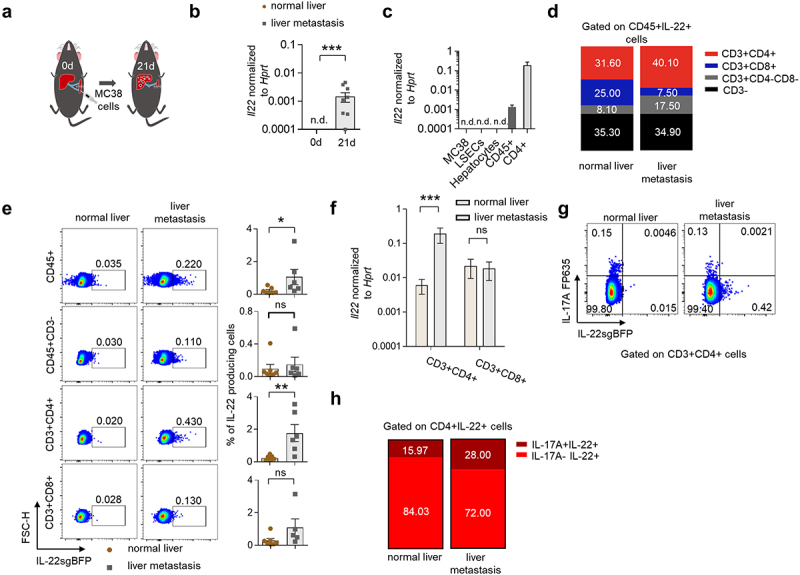 CD4+ T cell-derived IL-22 enhances liver metastasis by promoting angiogenesis.