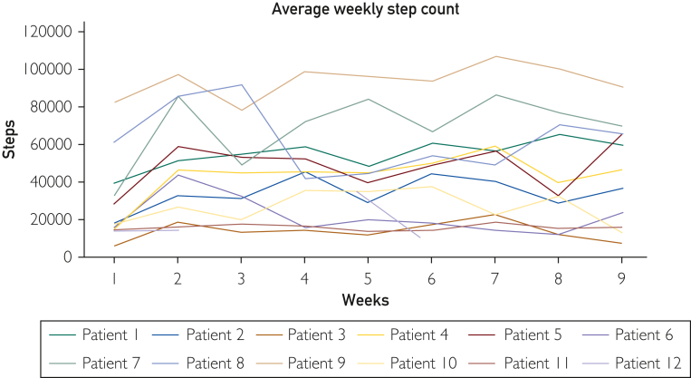 Home-Based Physical Activity Program With Health Coaching for Participants With Chronic Obstructive Pulmonary Disease in Sweden: A Proof-of-Concept Pilot Study