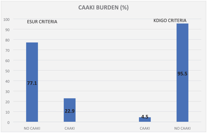 Burden and Risk Factors of Contrast-Associated Acute Kidney Injury in Hospitalized Zambian Children: A Prospective Cohort Study at the University Teaching Hospitals.