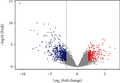 The Potential Mechanism of Curcumin in Treating Oral Squamous Cell Carcinoma Based on Integrated Bioinformatic Analysis.