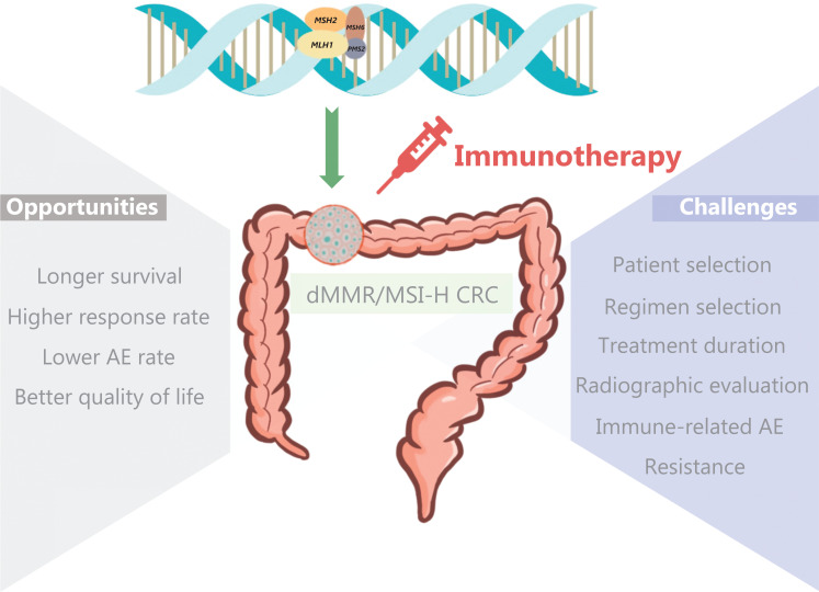 Opportunities and challenges of immunotherapy for dMMR/MSI-H colorectal cancer.