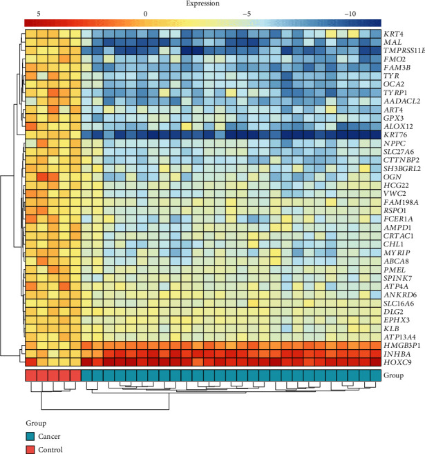 The Potential Mechanism of Curcumin in Treating Oral Squamous Cell Carcinoma Based on Integrated Bioinformatic Analysis.