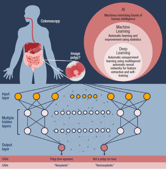 The imitation game: a review of the use of artificial intelligence in colonoscopy, and endoscopists' perceptions thereof.