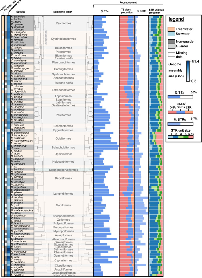 Teleost genomic repeat landscapes in light of diversification rates and ecology.