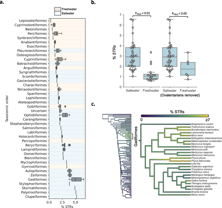 Teleost genomic repeat landscapes in light of diversification rates and ecology.