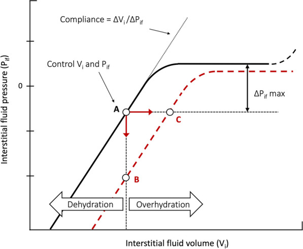 Role of the interstitium during septic shock: a key to the understanding of fluid dynamics?