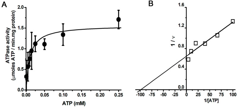 Isolation of the Sarcoplasmic Reticulum Ca<sup>2+</sup>-ATPase from Rabbit Fast-Twitch Muscle.