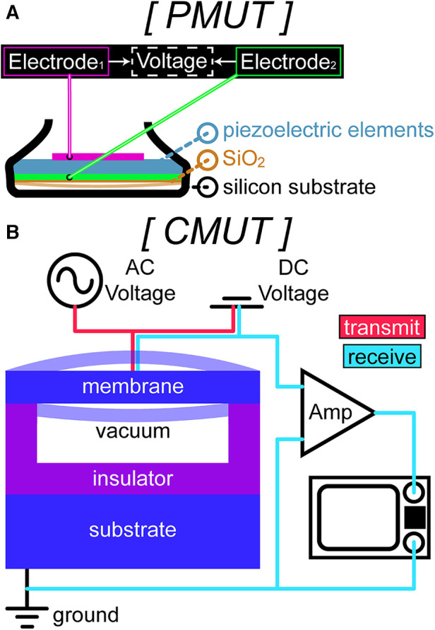 Visualizing tactile feedback: an overview of current technologies with a focus on ultrasound elastography.