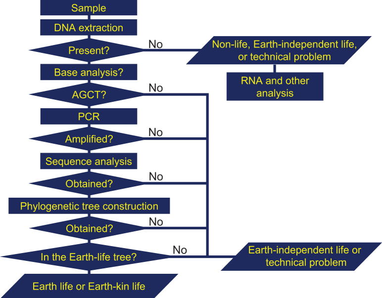 A Comparative Study of Methods for Detecting Extraterrestrial Life in Exploration Missions to Mars and the Solar System II: Targeted Characteristics, Detection Techniques, and Their Combination for Survey, Detection, and Analysis.