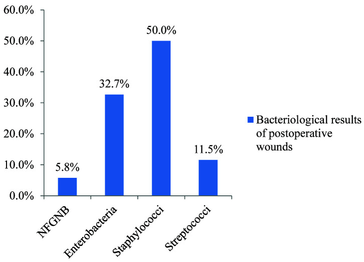 Antibiotic resistance of bacteria responsible for postoperative wound infections seen in the laboratory of the University Hospital of Befelatanana.