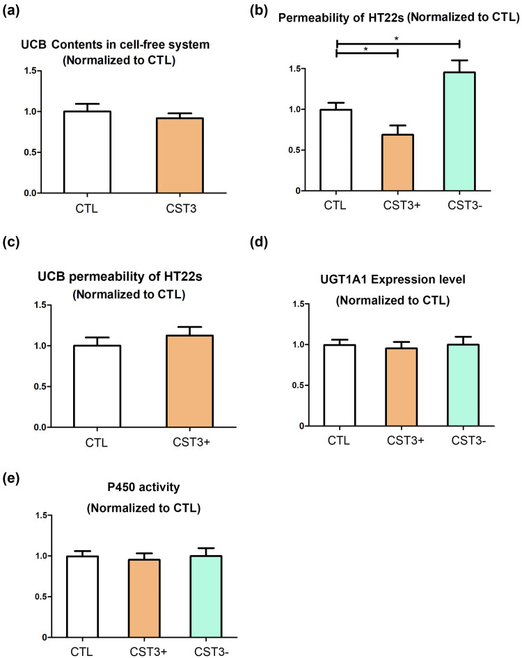 CST3 alleviates bilirubin-induced neurocytes' damage by promoting autophagy.