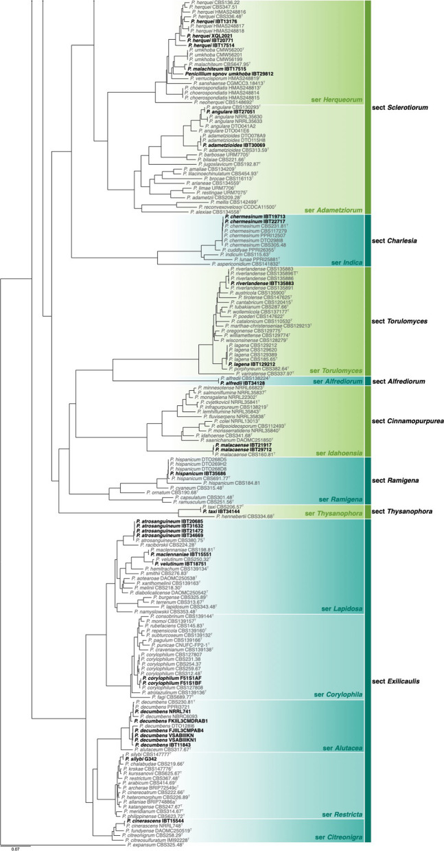 IMA genome-F18 : The re-identification of Penicillium genomes available in NCBI and draft genomes for Penicillium species from dry cured meat, Penicillium biforme, P. brevicompactum, P. solitum, and P. cvjetkovicii, Pewenomyces kutranfy, Pew. lalenivora, Pew. tapulicola, Pew. kalosus, Teratosphaeria carnegiei, and Trichoderma atroviride SC1.