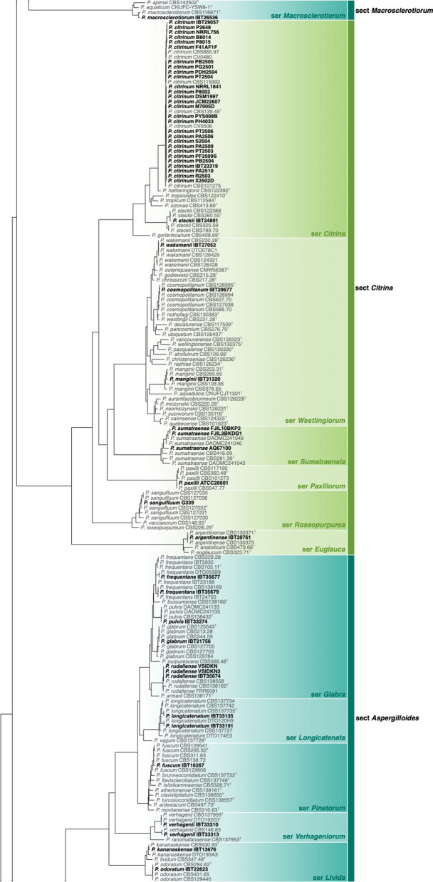 IMA genome-F18 : The re-identification of Penicillium genomes available in NCBI and draft genomes for Penicillium species from dry cured meat, Penicillium biforme, P. brevicompactum, P. solitum, and P. cvjetkovicii, Pewenomyces kutranfy, Pew. lalenivora, Pew. tapulicola, Pew. kalosus, Teratosphaeria carnegiei, and Trichoderma atroviride SC1.