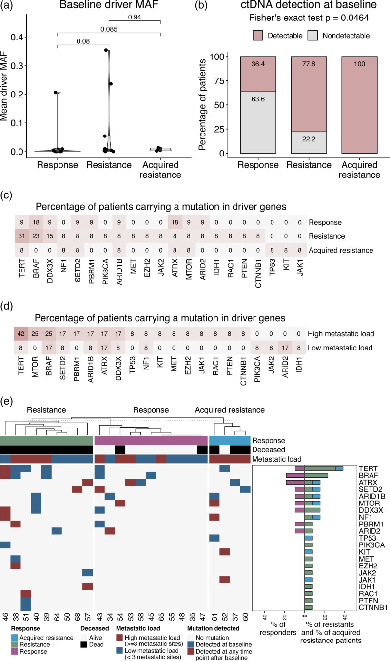 Analysis of circulating tumor DNA during checkpoint inhibition in metastatic melanoma using a tumor-agnostic panel.