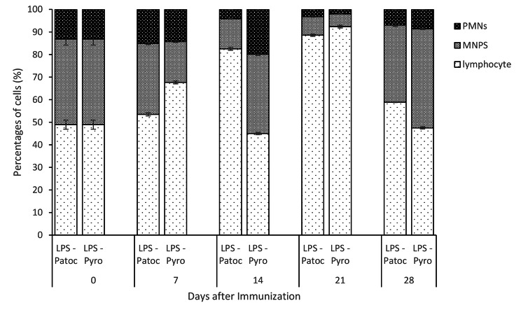 Humoral immune response and changes in peritoneal cell populations in rats immunized against two Leptospira serovars; serovar patoc and serovar pyrogenes.