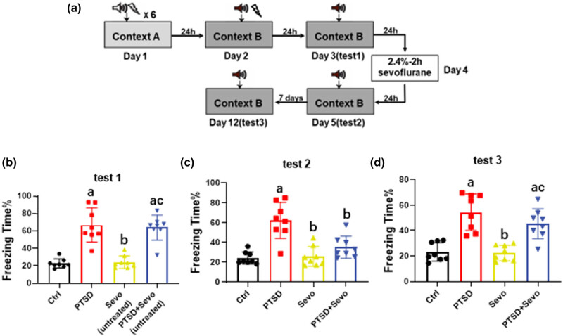 Long-term sevoflurane exposure relieves stress-enhanced fear learning and anxiety in PTSD mice.